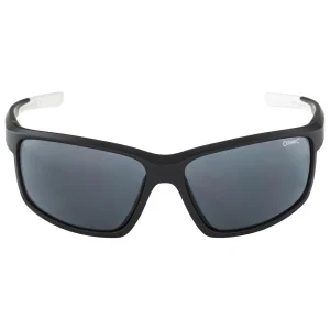 Biegen Alpina – Defey Cat. 3 – Lunettes Vélo 9